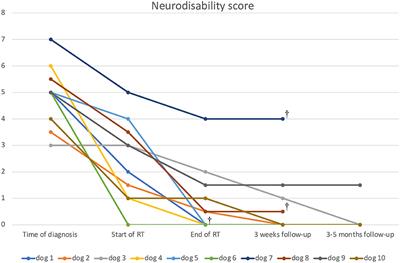 A shortened whole brain radiation therapy protocol for meningoencephalitis of unknown origin in dogs